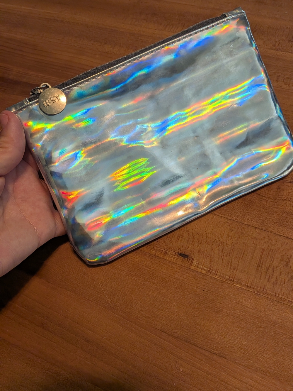 IPSY Silver Holographic Metallic Makeup Bag Zip Pouch Cosmetic Travel Bag